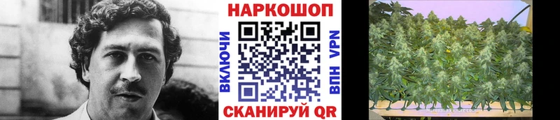 Как найти наркотики Берёзовка МЕГА как войти  Кокаин  Мефедрон  ГАШИШ 