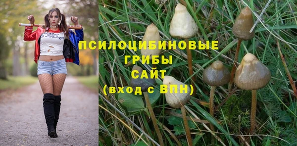 дживик Абинск