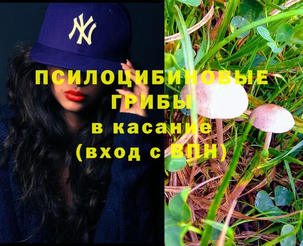 а пвп мука Магадан