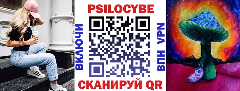ОМГ ОМГ вход  Берёзовка  Псилоцибиновые грибы Cubensis 