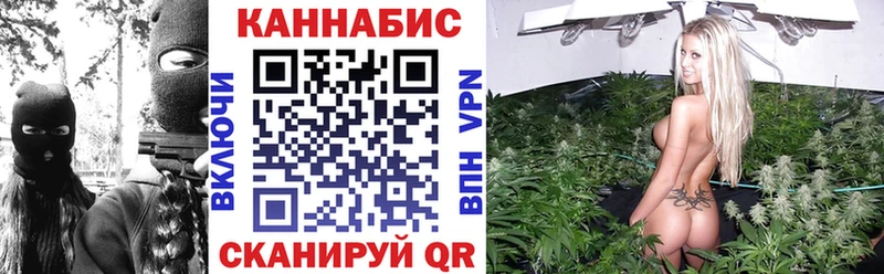 Конопля SATIVA & INDICA  Берёзовка 